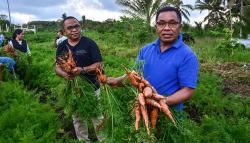 Kisah Bupati Tanimbar dengan Sapi Peliharaan Bernama Manis, Sering Diajak Bicara