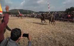 Lomba Pacuan Kuda Tradisional di Maros Picu Kerumunan, Warga Abaikan Prokes