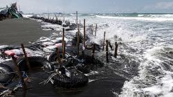 Gelombang Tinggi, Pesisir Pantai Cilacap Selatan Abrasi Sejauh 10 Meter
