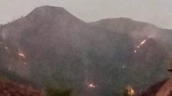 Kebakaran Hutan Gunung Andong, 9 Hektare Lahan di Petak 26E Hangus Dilalap Api