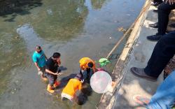 Tubuh Wanita Terbungkus Selimut di Rancasari Bandung Dihujani 65 Tusukan<