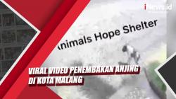 Video Viral Aksi Penembakan Anjing di Malang, Polisi Turun Tangan