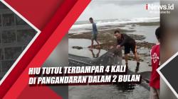 Video Hiu Tutul Sudah Terdampar 4 Kali di Pangandaran dalam 2 Bulan