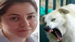 Tragis, Mahasiswi Cantik Ini Tewas Diserang Kawanan Anjing Hutan