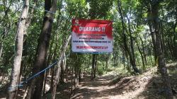 Jalur Masuk Pendakian Gunung Klotok Ditutup