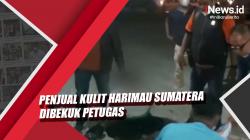 Video Penjual Kulit Harimau Sumatera Seharga Rp15 Juta Dibekuk Petugas di Riau<