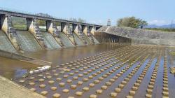 Dam Colo Ditutup, Pemkab Sukoharjo Pinjamkan Pompa Air untuk Petani 