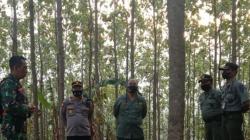 Cegah Pencurian Kayu dan Karhutla di Semarang, Tim Gabungan Gencarkan Patroli