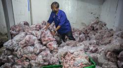 Penyaluran 5.000 Paket Ayam Segar untuk Warga Terdampak Pandemi 