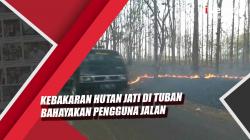 Video Kebakaran Hutan Jati di Tuban Bahayakan Pengguna Jalan