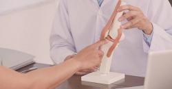 Kenali Nyeri Tulang Belakang, Yuk Rutin Konsumsi Makanan Sehat Mencegah Osteoporosis