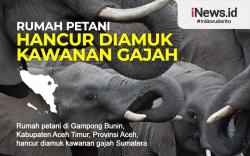 Infografis Rumah Petani Hancur Diamuk Kawanan Gajah