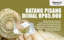 Infografis Batang Pisang Dijual Rp85.000
