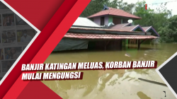 Video Banjir Katingan Meluas, Korban Banjir Mulai Mengungsi<