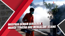 Video Waspada Demam Berdarah, Warga di Pariaman Terkena DBD Mengalami Kejang