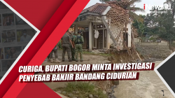 Video Curiga, Bupati Bogor Minta Investigasi Penyebab Banjir Bandang Cidurian