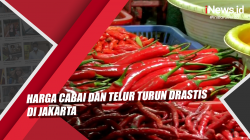 Video Harga Cabai dan Telur Turun Drastis di Jakarta