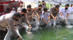 Kunjungan ke Sukoharjo, Kapolda Jateng Panen 3.000 Ikan Lele 