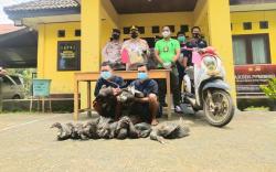 Butuh Modal Main Perempuan, 2 Pemuda Asal Prabumulih Berbulan-bulan Curi Bebek <