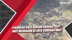 Viral Ribuan Burung Jatuh lalu Mati di Lahan Kuburan, Ini Penjelasan BKSDA Bali