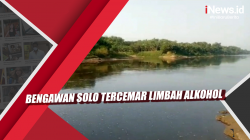 Video Bengawan Solo Tercemar Limbah Alkohol