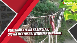 Video Bertaruh Nyawa ke Sekolah, Siswa Menyusuri Jembatan Gantung