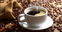 5 Tempat Ngopi di Bogor Selatan Jawa Barat, Nyaman dan Terjangkau