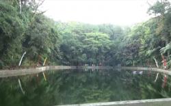 Misteri Desa Penari Rowo Bayu dan Kisah Pertapaan Prabu Tawang Alun di Banyuwangi 