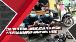 Video Tak Punya Modal untuk Main perempuan, 2 Pemuda Berbulan-bulan Curi Bebek