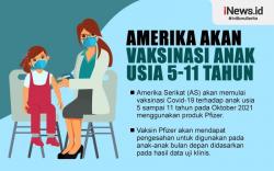 Infografis Amerika Segera Suntik Anak 5 sampai 11 Tahun Pakai Vaksin Pfizer