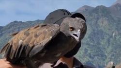 Jaga Kelestarian Alam, Pecinta Binatang Lepas Burung ke Lereng Merapi-Merbabu   