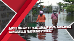 Video Banjir Meluas ke 11 Kelurahan di Palangkaraya, Warga Mulai Terserang Penyakit