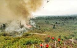 Jumlah Titik Api Berkurang, Sumsel Tetap Siaga Karhutla<