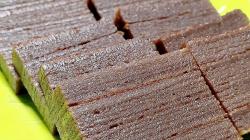 10 Makanan Khas Sambas