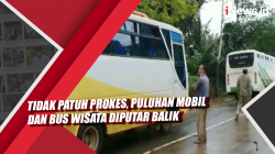 Video Tidak Patuh Prokes, Puluhan Mobil dan Bus Wisata Diputar Balik