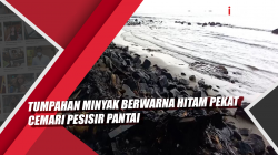 Video Tumpahan Minyak Berwarna Hitam Pekat Cemari Pesisir Pantai