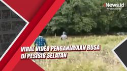 Video Viral Penganiayaan Rusa, BKSDA Sumbar dan Polisi Buru Pelaku