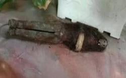 Viral Jenglot Tergeletak di Jalanan Labuhanbatu Sumut