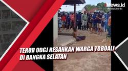 Video  Teror ODGJ Resahkan Warga Toboali di Bangka Selatan