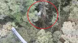 Detik-Detik Penemuan Serpihan Pesawat Rimbun Air di Pegunungan Intan Jaya<