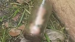 Potongan Penis dalam Toples Kaca Ditemukan Tukang Kebun Taman