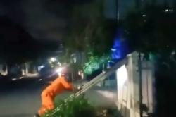  Begini Aksi Petugas Damkar Evakuasi Sarang Tawon saat Tengah Malam