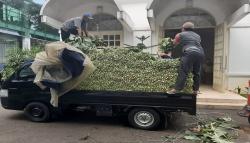 Harga Sayuran Anjlok, Sawi Hasil Panen Petani Sukabumi Diborong Jokowi