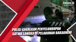 Video Polisi Gagalkan Penyelundupan Satwa Langka di Pelabuhan Bakauheni