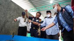 KKP Intensifkan Pengawasan Budidaya Lobster