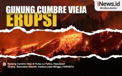 Infografis Gunung Cumbre Vieja Erupsi