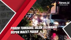 Video Jalan Siliwangi Depok Macet Parah akibat Pohon Tumbang
