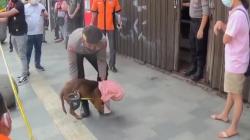 Jasad Korban di Toko Emas Kosambi Bandung Dijaga 2 Anjing, Petugas Kesulitan Olah TKP<