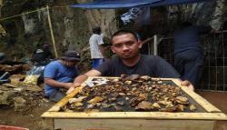 Ekskavasi Lanjutan Gua Pawon KBB, Tim Arkeolog Temukan Tulang Hewan Buruan<