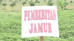 Hutan Alam Sekunder di Pemalang Dimanfaatkan untuk Kesejahteraan Petani Sekitar 